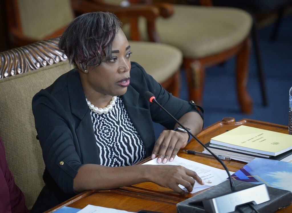 Parliament tightening governance measures, says Lowe