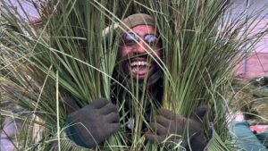 Man with Jamaican roots gains fame after playing grass in Bad Bunny’s Super Bowl halftime show