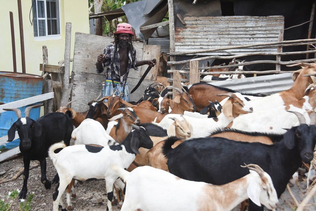 If you ate today, thank a farmer!