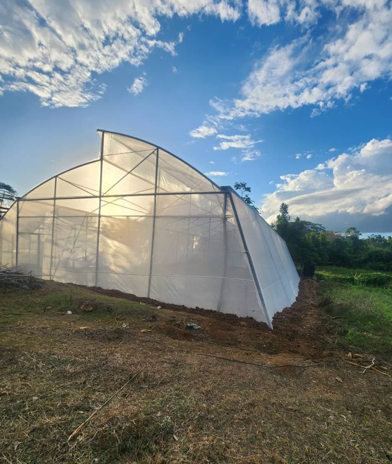 Dinthill Tech celebrates main greenhouse back in service