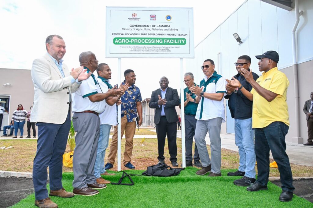 UK supports opening of new Essex Valley agro-processing facility in Jamaica