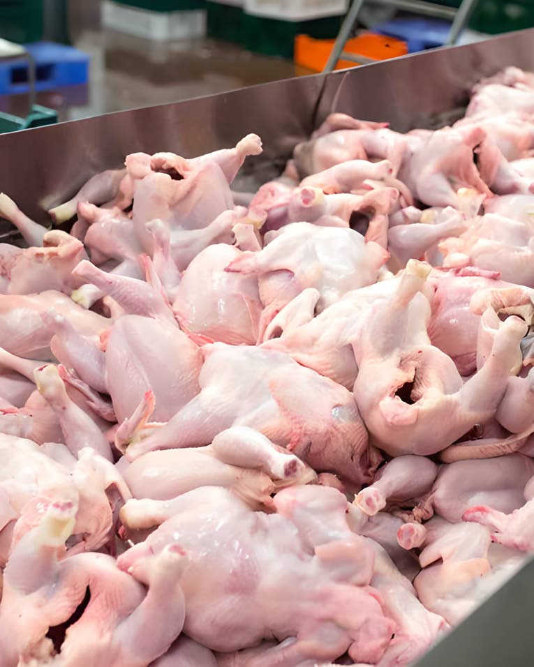 The Chicken Supply Crunch: Causes and Risks