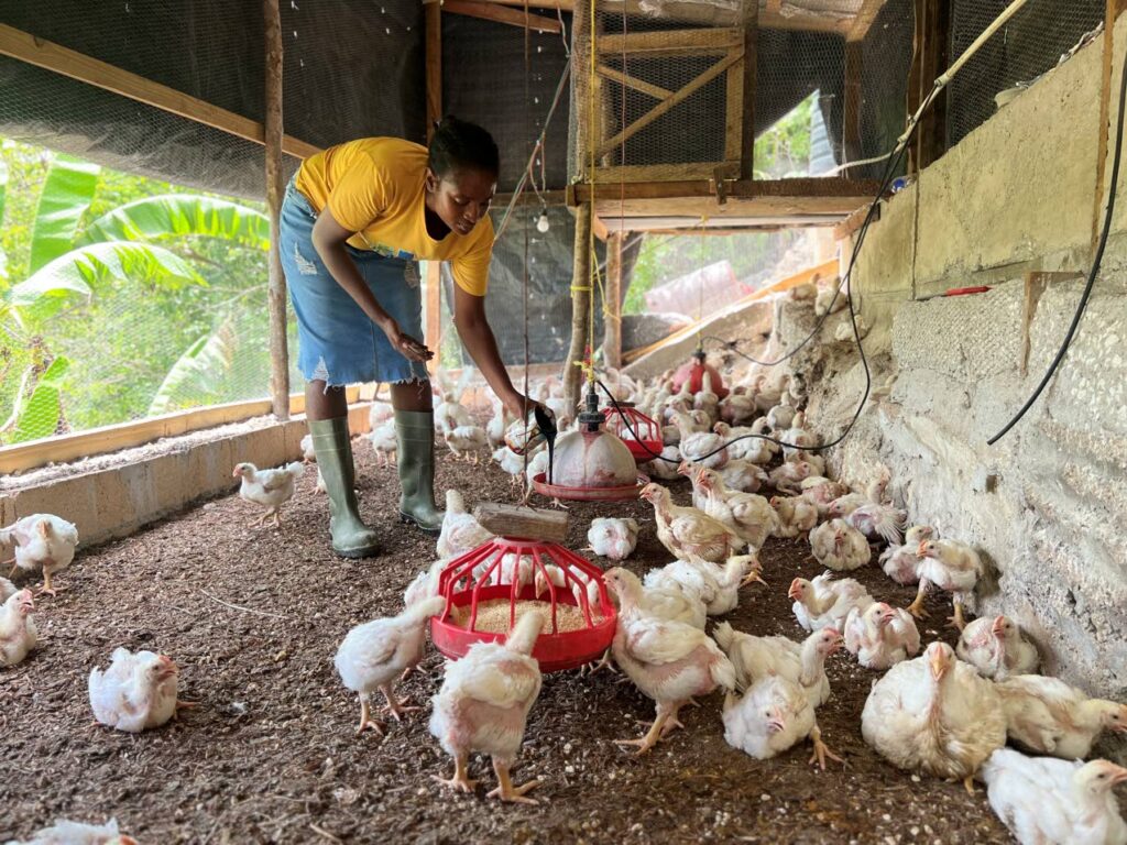 Seeds of second chances