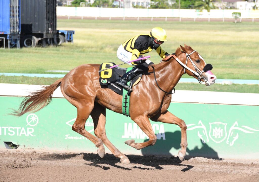 Taylor Made, Salute The Don impress in Hotline and Sir Howard Stakes wins