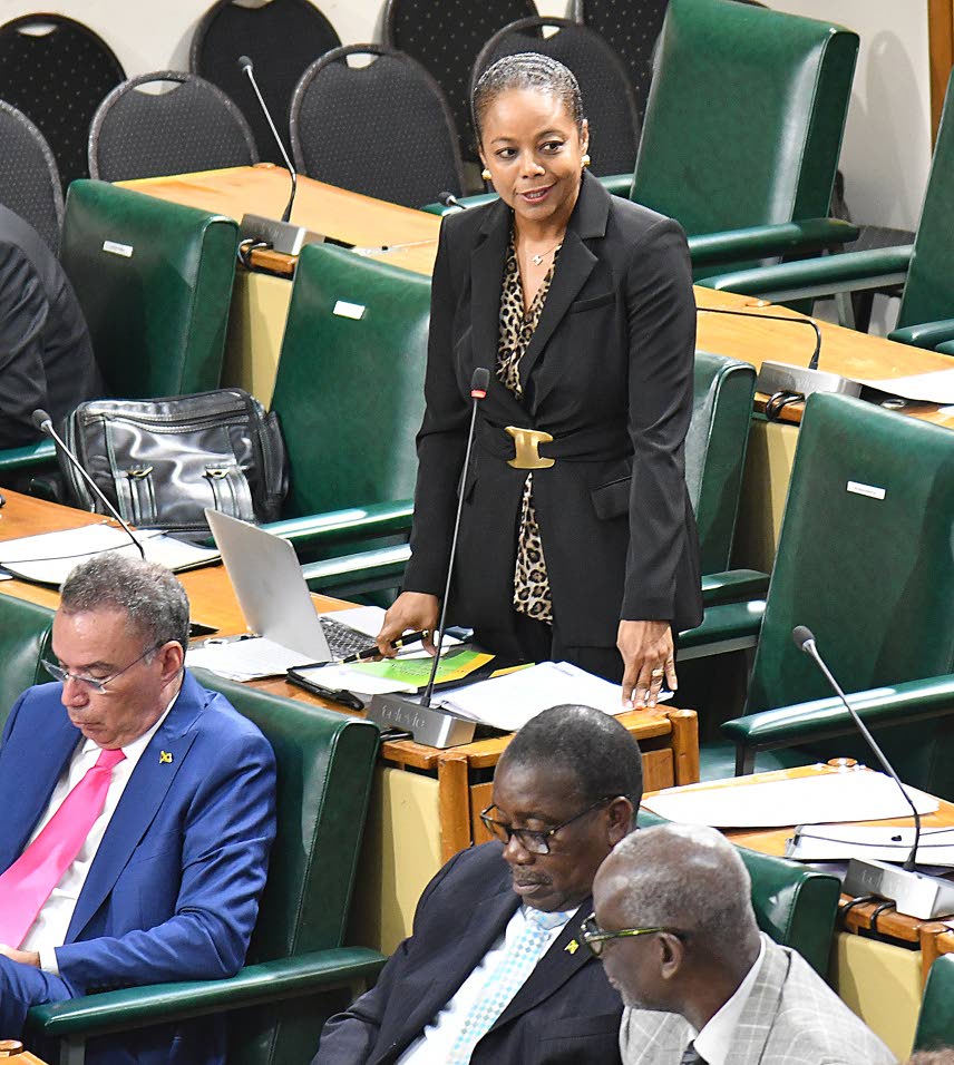 PATH under scrutiny - Jamaica Observer by Jerome Williams, Howard Campbell Nbsp