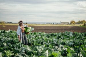 $8-billion agriculture shield