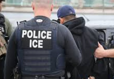 Jamaican convicted in 2009 Bronx murder deported by ICE