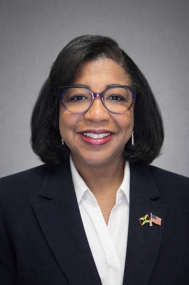 New Diaspora Council representatives map plans to strengthen engagement, development of Jamaica