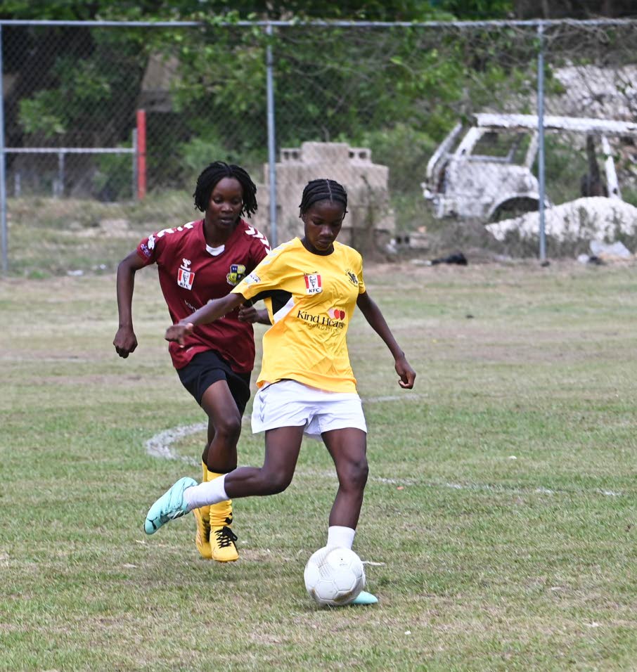 Jamaica Observer - Jamaica Observer by Paul A Reid Observer Writer Reidp Jamaicaobserver.Com, Paul A Reid Observer Writer Reidp Jamaicaobserver.Com Nbsp