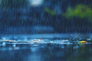 Tropical wave to bring showers and thunderstorm to western parishes