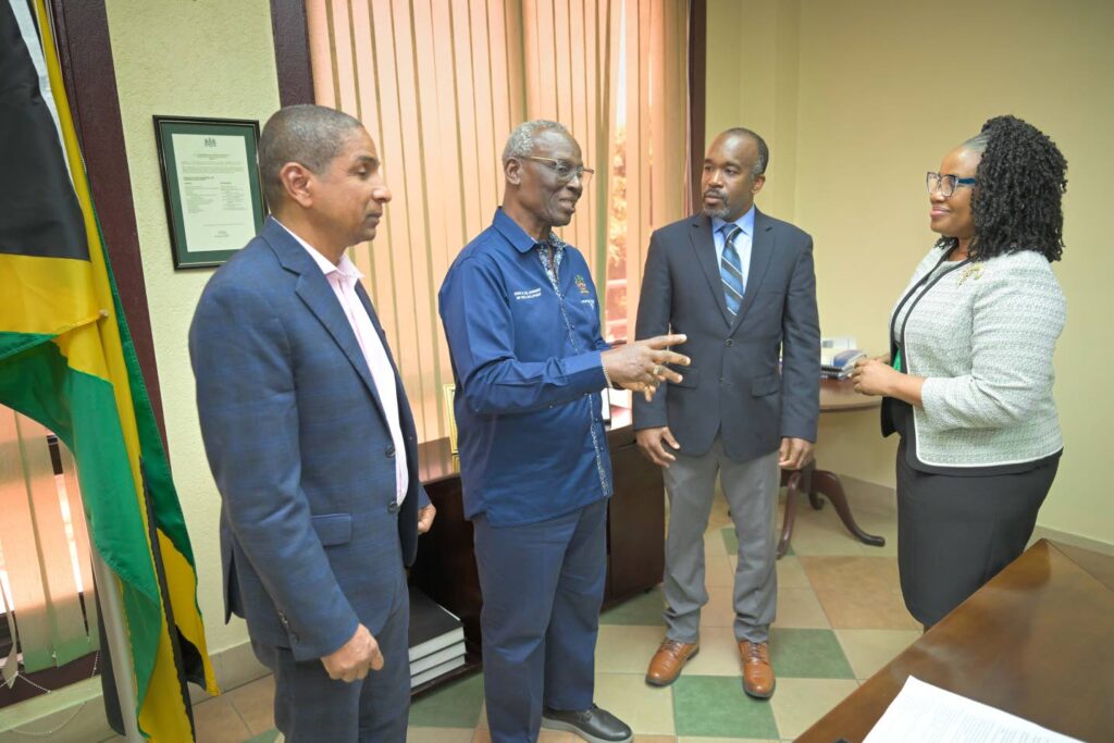 Jamaica looks to US to secure more ambulances