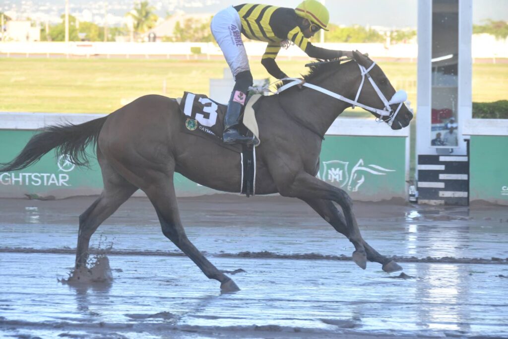 Raddesh Roman: Sir Don has more to give after King’s Plate win