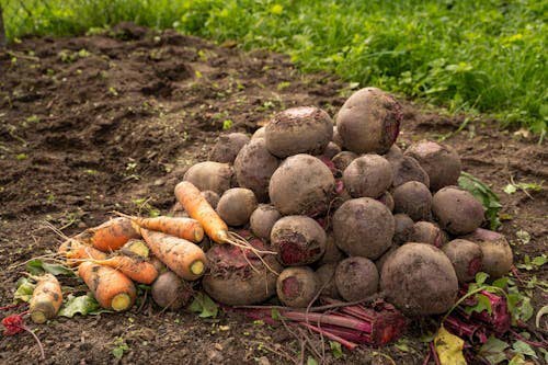 Is true sustainability slipping through our fingers?