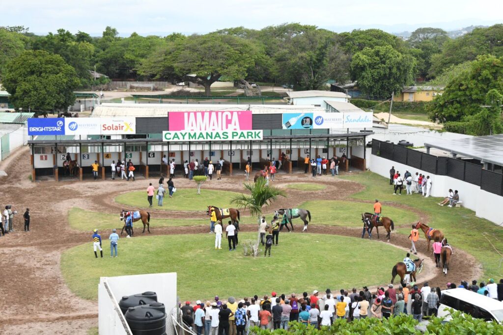 Claiming system’s 96-year error still crippling horse racing