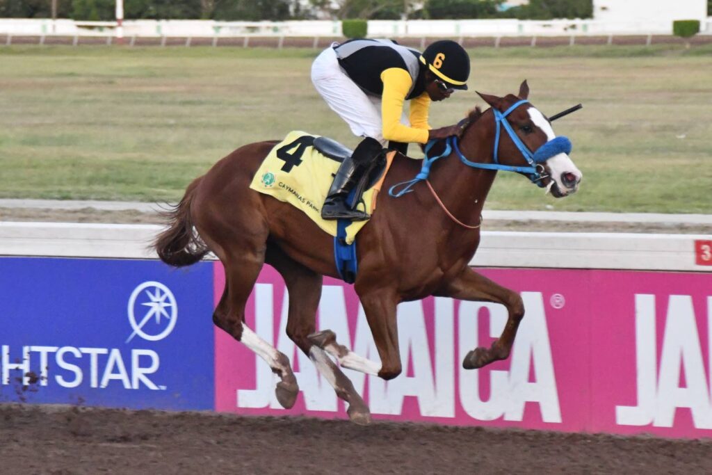 We Jammin, Salute The Don lead the charge in Jamaica’s Futurities