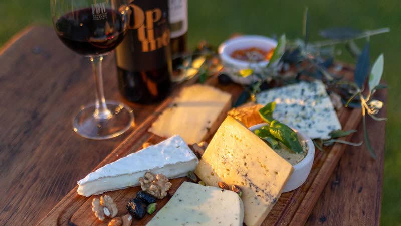 FOWines and the Rise of Boutique Wine Tourism in Argentina