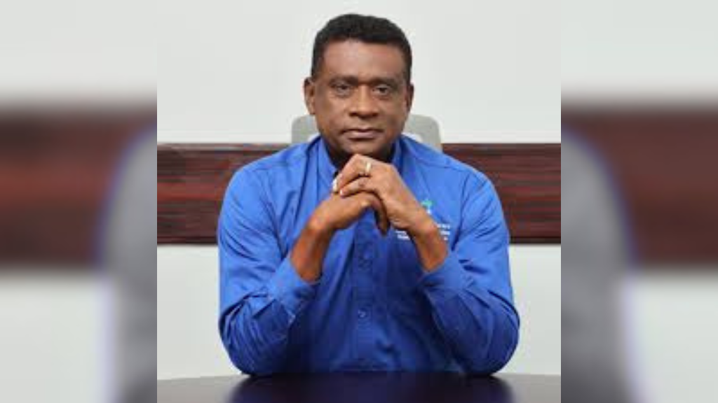 Jamaicans in diaspora urged to channel donations to health sector through NHEF