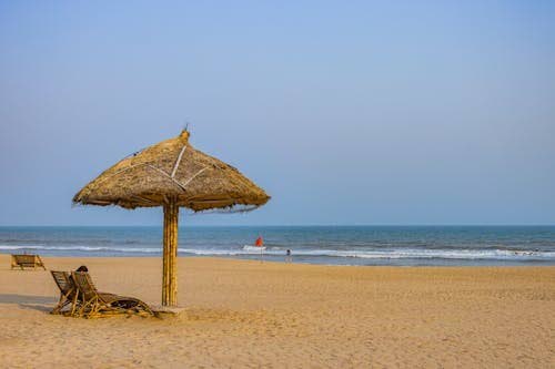 Unmanaged, uncontrolled beaches serve neither fish nor fowl