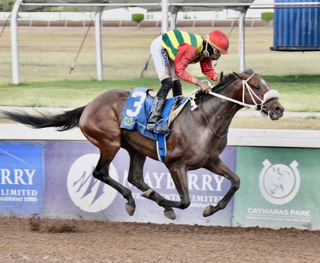 Barnaby, Girvano set for Legal Light Trophy showdown