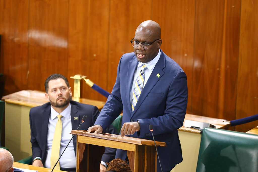Government Senator Dr Elon Thompson has warned that some online attacks targeting Speaker of the House Juliet Holness reflect a growing trend of cyberbullying being disguised as political commentary.