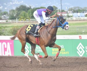Sky Is The Limit blazes to maiden victory - Jamaica Observer