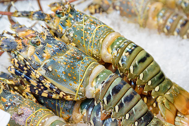 Individuals who trade in lobster now able to sell during closed season—Green