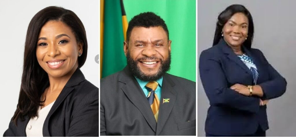 Three leading Jamaican business associations, the Small Business Association, the Young Entrepreneurs Association and the MSME Alliance have agreed to jointly advance a coordinated policy agenda aimed at driving inclusive economic growth and development.