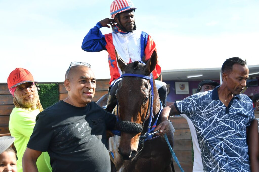 Super David Signals 2000 Guineas Promise with Dominant Maiden Breakthrough