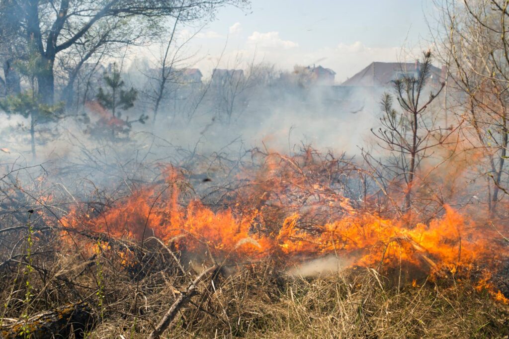 JFB raises bush fire readiness level