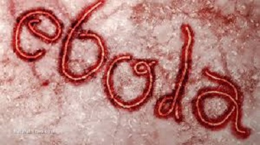 The Government of Belize is urging individuals who have recently travelled from Ebola-affected regions, particularly in East and Central Africa, to provide accurate information about their travel history.