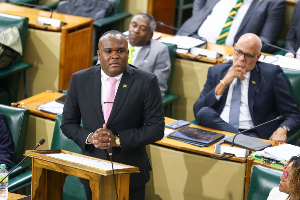 Government Senator Abka Fitz-Henley has pushed back firmly against talk that the National Reconstruction and Resilience Authority (NaRRA) Bill lacks oversight and accountability.