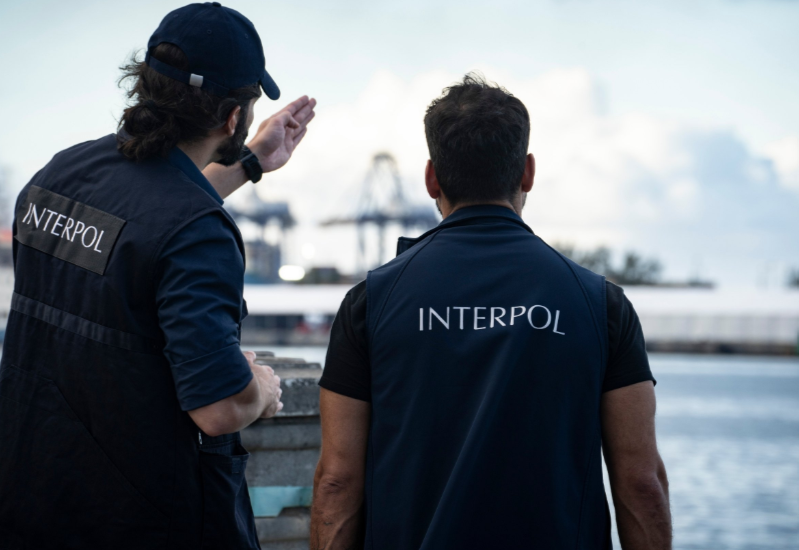 More than 3,000 guns, 56 tonnes of drugs seized in Interpol-led operation