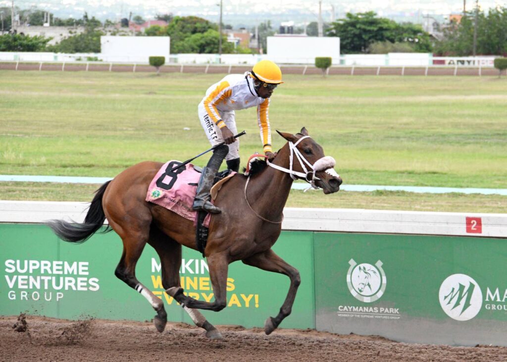 PORTMORE STAKES: Dream Catcher’s to lose