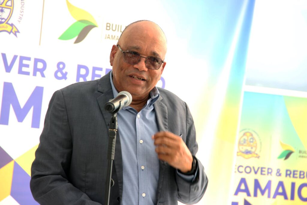 UDC eyes Harmony Beach Park-style model for Lucea