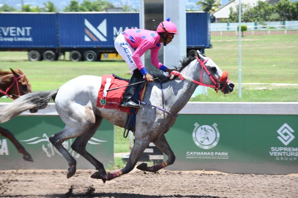 Greyt Magnum completes quick double In JRC Trophy