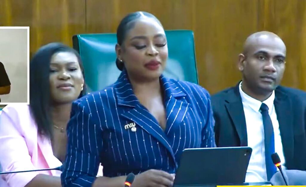 Jamaica missing out on cultural tourism earnings, warns Burchell