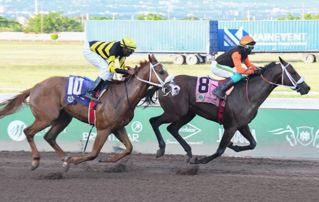 Stardom shocks at 13-1 as Subtratie locks out Kingston trifecta