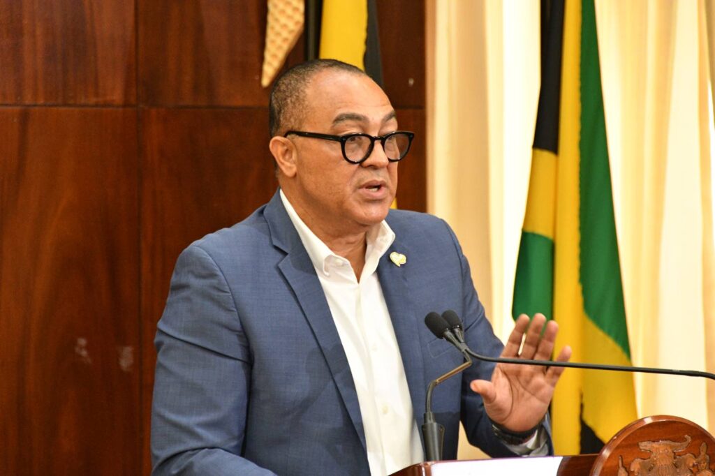 Opposition calls for speedy cybersecurity law following possible data breach at NHF