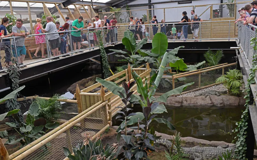 UK man charged with attempted murder after toddler thrown into alligator enclosure