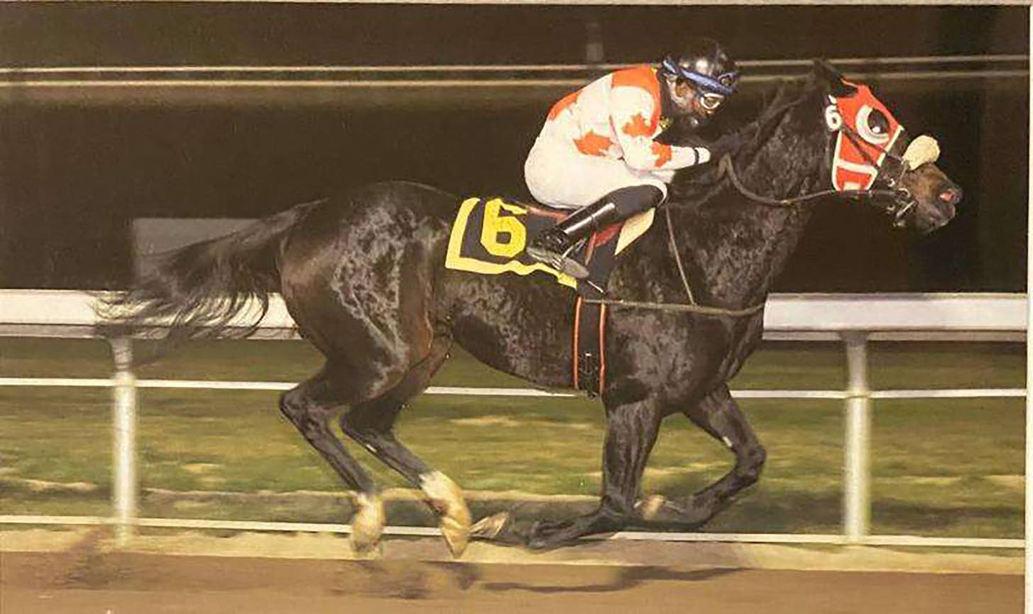 ‘Warrior Chief' Nelson reaches 500-win milestone in Canada