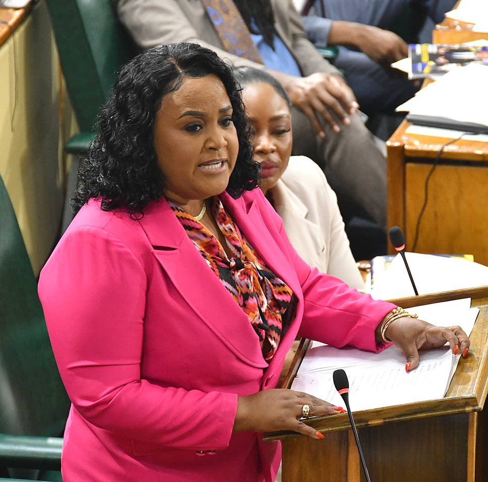 Give municipal corporations power to borrow, says Neita Garvey