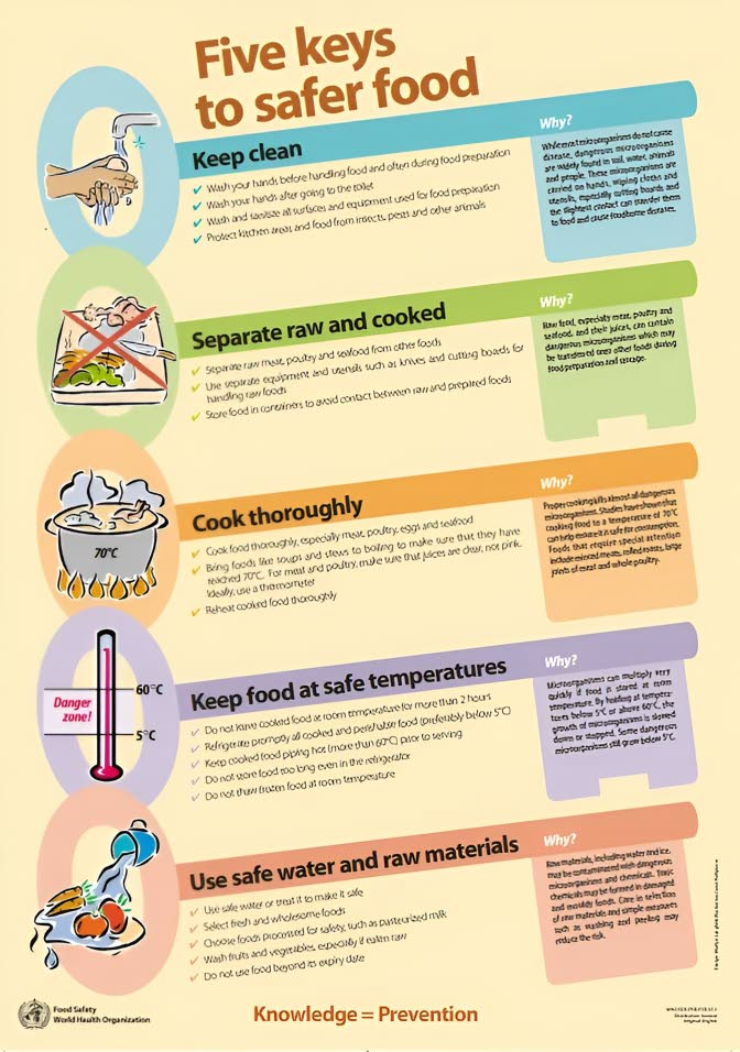 Why Food Safety Matters More Than Ever for Jamaica