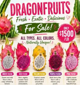 Dragon fruit emerging as high-value exotic fruit