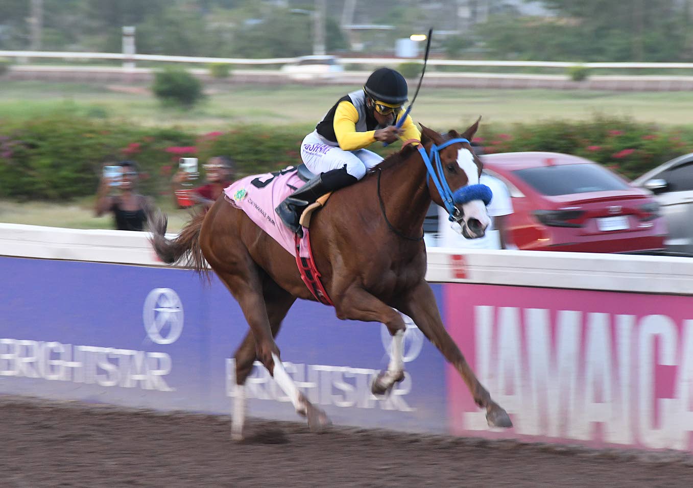 We Jammin returns with authority in Jamaica St Leger Classic rout