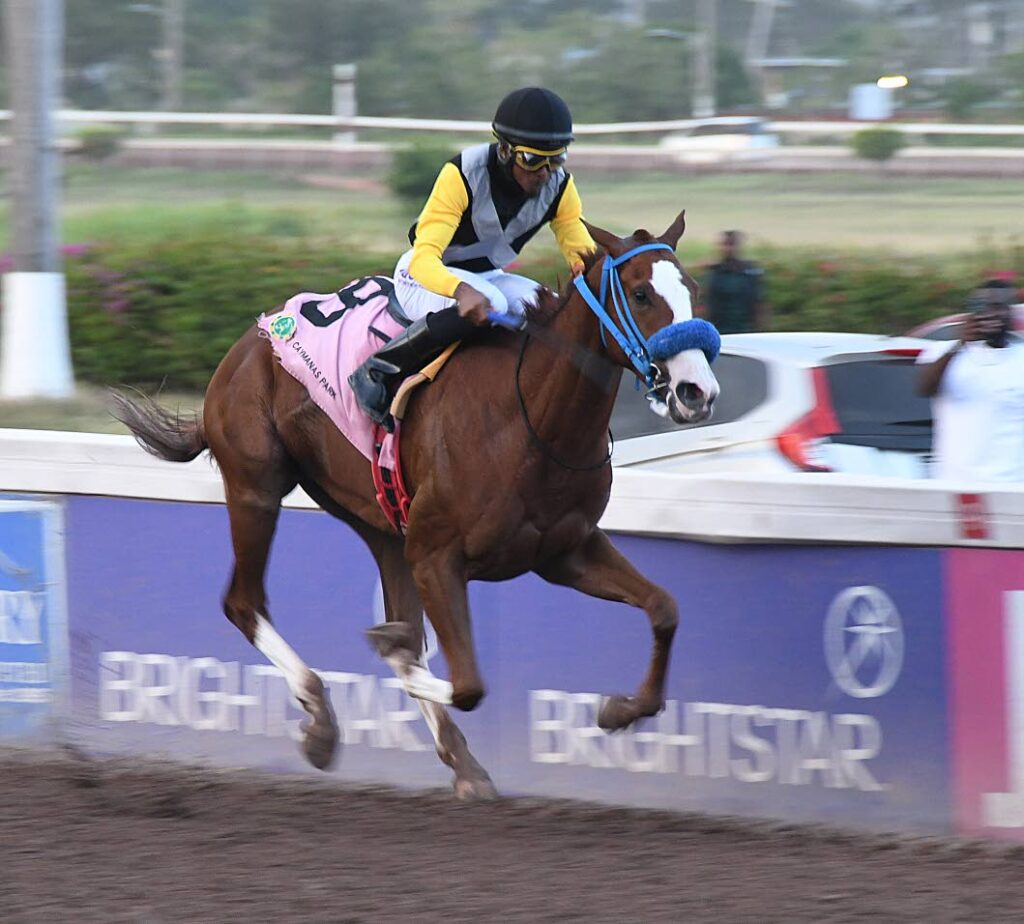 We Jammin returns in style to land 100th St Leger