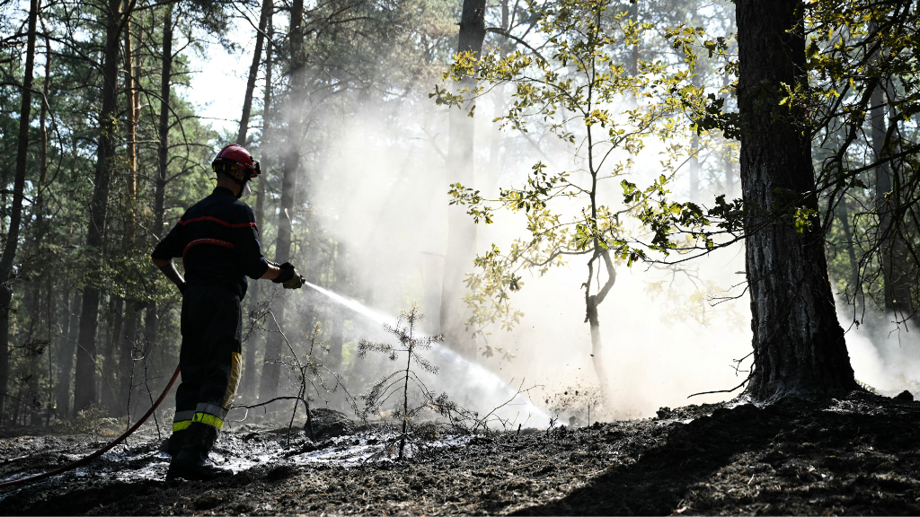 Macron pledges ‘zero tolerance’ for arson after spate of fires in France