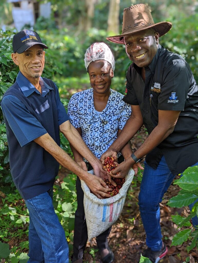 Mavis Bank Coffee Factory achieves top score in Safe Quality Food Recertification