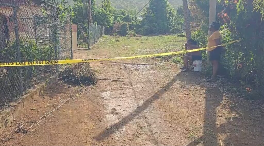 ‘Bughead’ fatally shot by police in St Elizabeth, gun seized