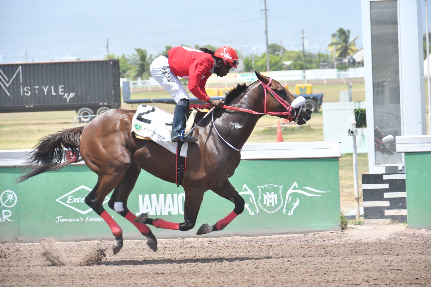 Pepper Stepper blows them away in 12¼-length rout