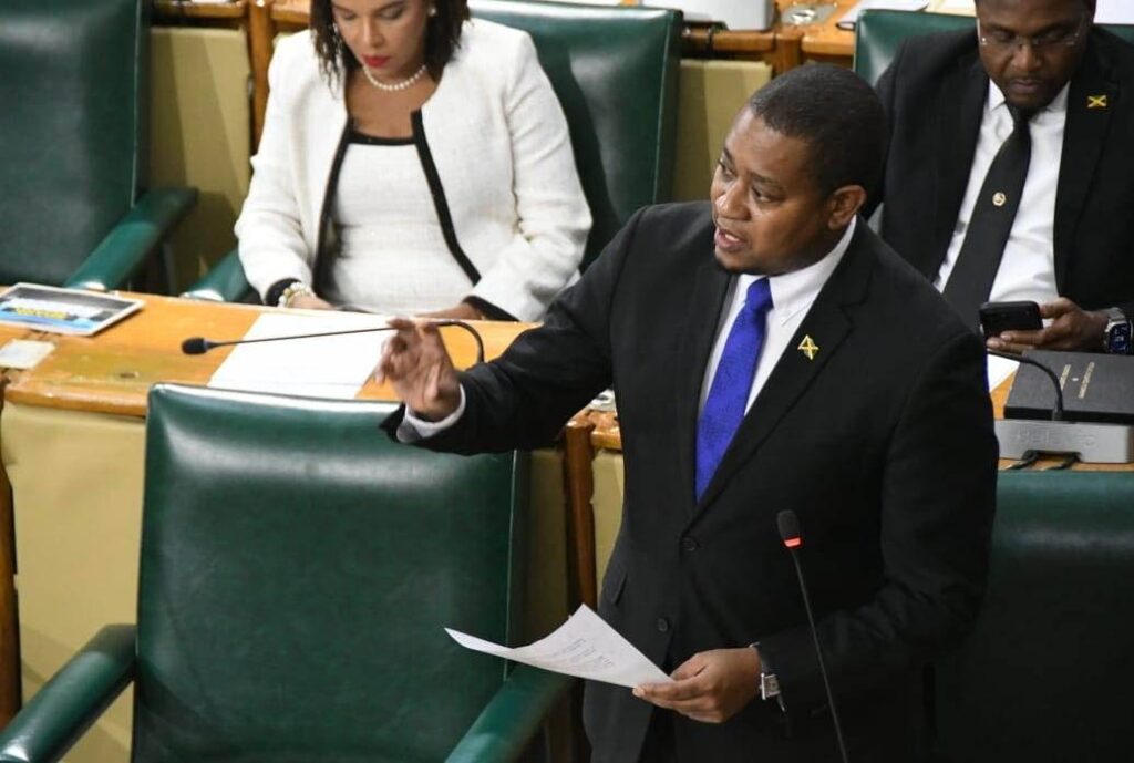 Youth in agriculture policy white paper being finalised for tabling in Parliament